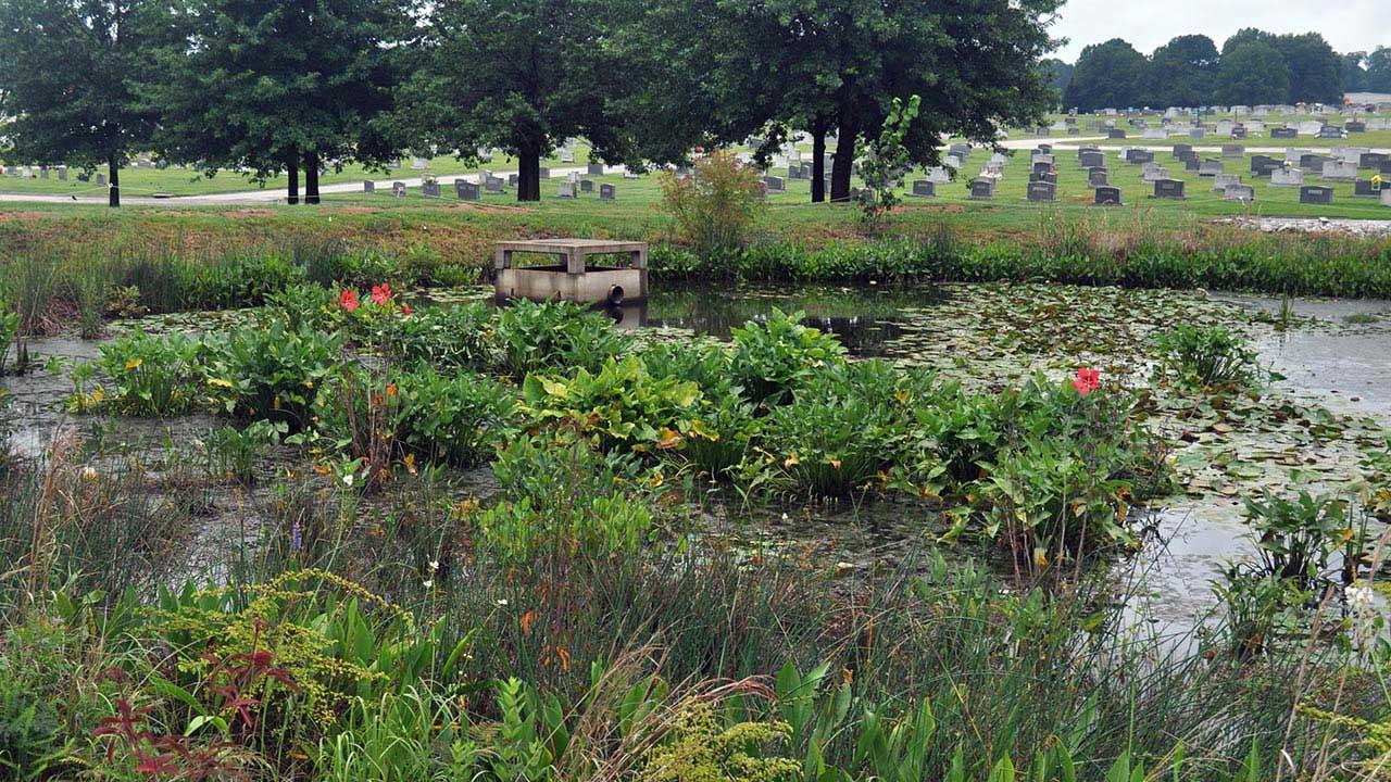 The Tetra Tech designed stormwater wetland in Griffin, Georgia